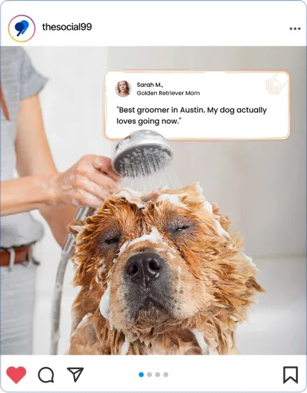 Marketing Services for Pet Grooming Marketing Services for Pet Grooming