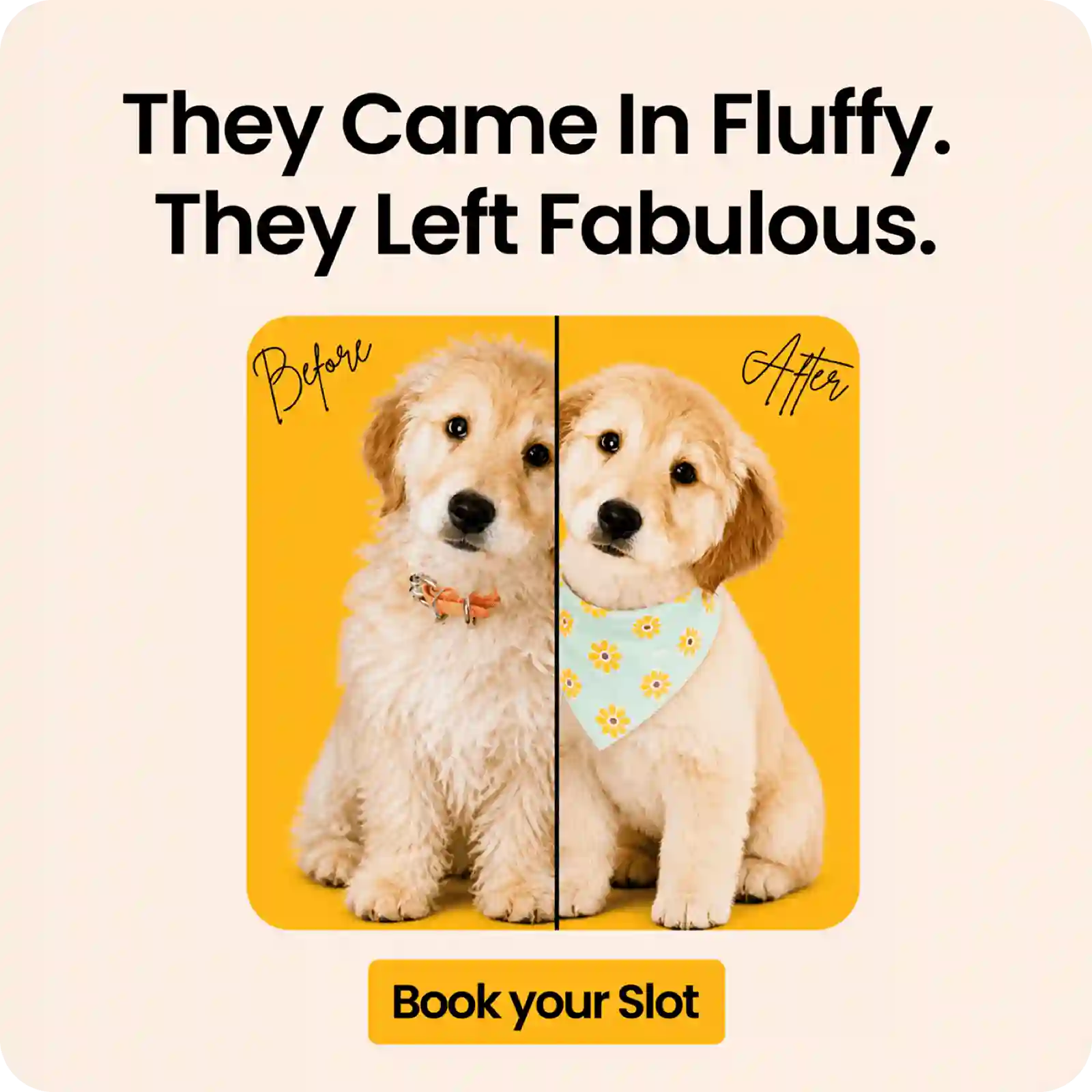 Marketing Agency for Pet Grooming Marketing Agency for Pet Grooming