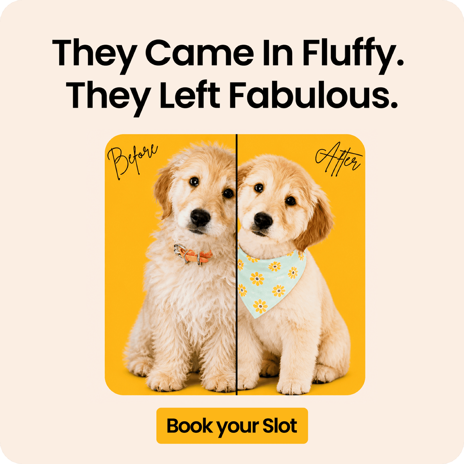 Marketing Agency for Pet Grooming Marketing Agency for Pet Grooming